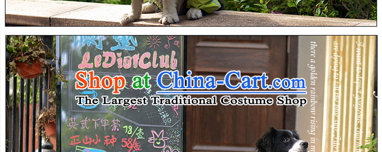 Pet dog rain clothing. Large Dogs Emergency Unit of three large dogs to gross margin the raincoat raincoat C3A1004 Yang Orange 3-11A, Asia Picture, prices, brand platters! The elections are supplied in the national character of distribution, so action, buy now enjoy more preferential! As soon as possible.