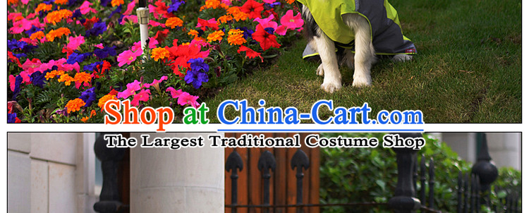 Pet dog raincoat dogs in large dogs clothes rain poncho gross de Pastoral raincoat C3A1003 Yang Orange 3-11A, Asia Picture, prices, brand platters! The elections are supplied in the national character of distribution, so action, buy now enjoy more preferential! As soon as possible.