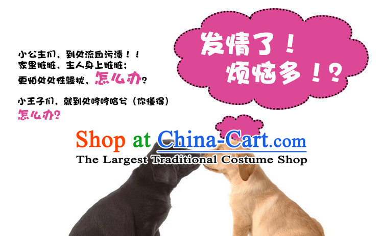 Dog physiological trousers mother dog was rutting trousers dog shorts dog bite dog clothes tedu than Xiong pet supplies L picture, prices, brand platters! The elections are supplied in the national character of distribution, so action, buy now enjoy more preferential! As soon as possible.