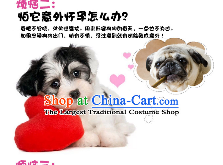 Dog physiological trousers mother dog was rutting trousers dog shorts dog bite dog clothes tedu than Xiong pet supplies L picture, prices, brand platters! The elections are supplied in the national character of distribution, so action, buy now enjoy more preferential! As soon as possible.