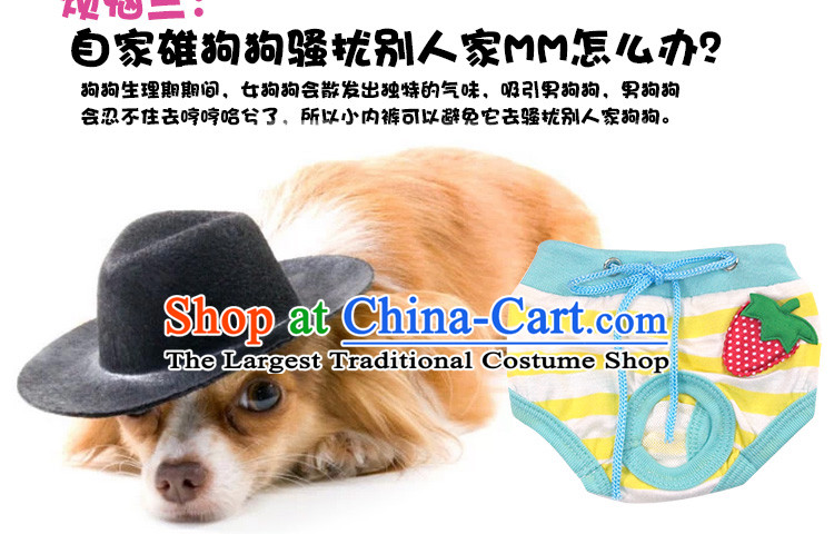 Dog physiological trousers mother dog was rutting trousers dog shorts dog bite dog clothes tedu than Xiong pet supplies L picture, prices, brand platters! The elections are supplied in the national character of distribution, so action, buy now enjoy more preferential! As soon as possible.