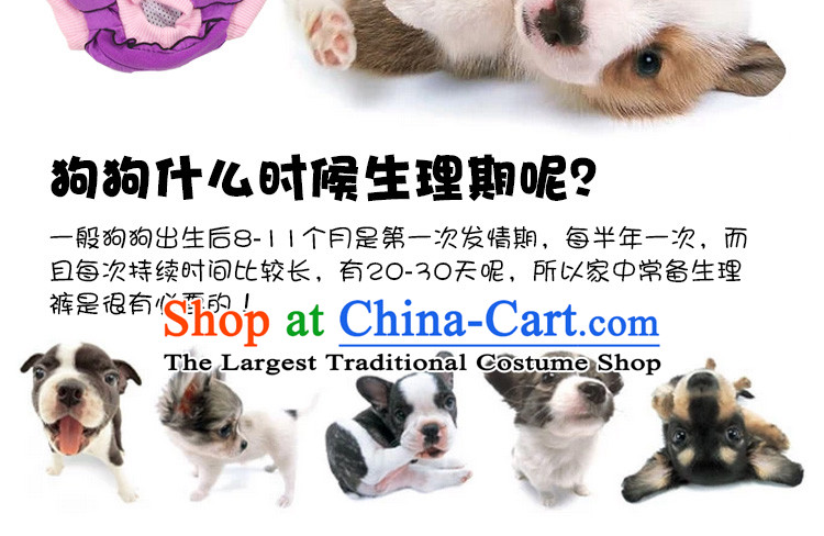 Dog physiological trousers mother dog was rutting trousers dog shorts dog bite dog clothes tedu than Xiong pet supplies L picture, prices, brand platters! The elections are supplied in the national character of distribution, so action, buy now enjoy more preferential! As soon as possible.