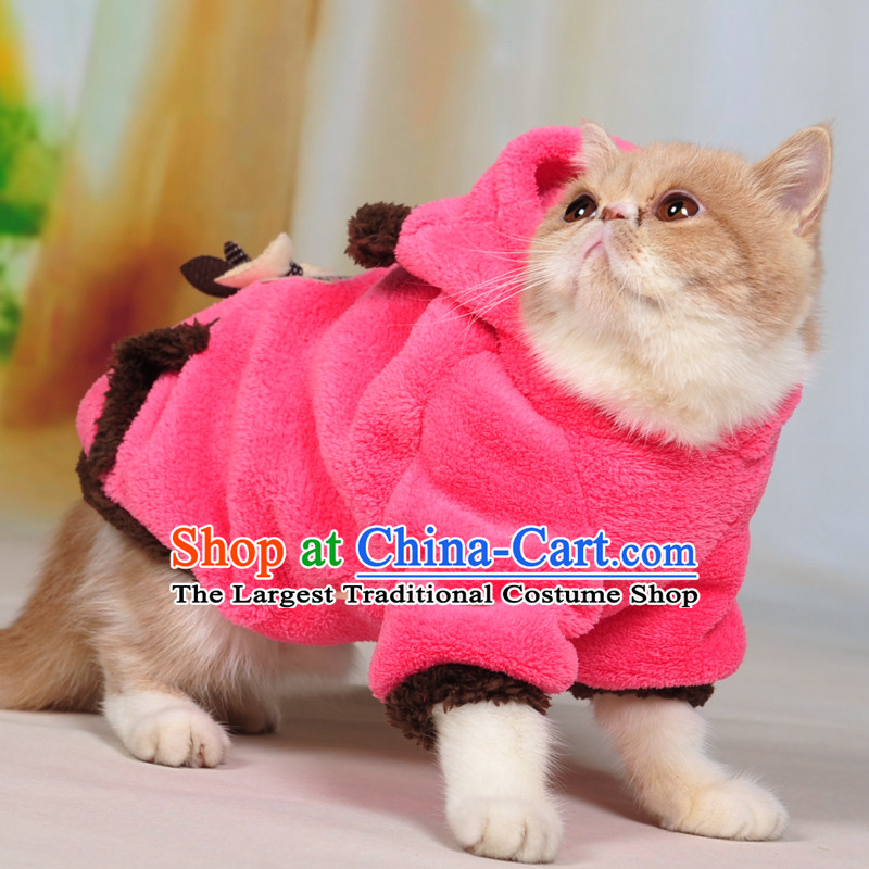 Some raise their heads paradise kitten alike clothes kitten alike clothes Pussy Cat clothes warm clothes for autumn and winter clothing kittens cats Fall_Winter Collections S