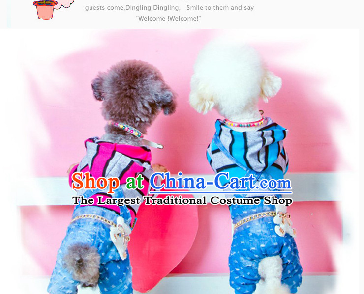 Chukchi pets dogs clothes clothes 2015 dog costume autumn and winter coat four legs with warm tedu sweater angel wings - Pink S 2-3 catty picture, prices, brand platters! The elections are supplied in the national character of distribution, so action, buy now enjoy more preferential! As soon as possible.