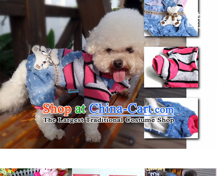 Chukchi pets dogs clothes clothes 2015 dog costume autumn and winter coat four legs with warm tedu sweater angel wings - Pink M4-6 catty picture, prices, brand platters! The elections are supplied in the national character of distribution, so action, buy now enjoy more preferential! As soon as possible.