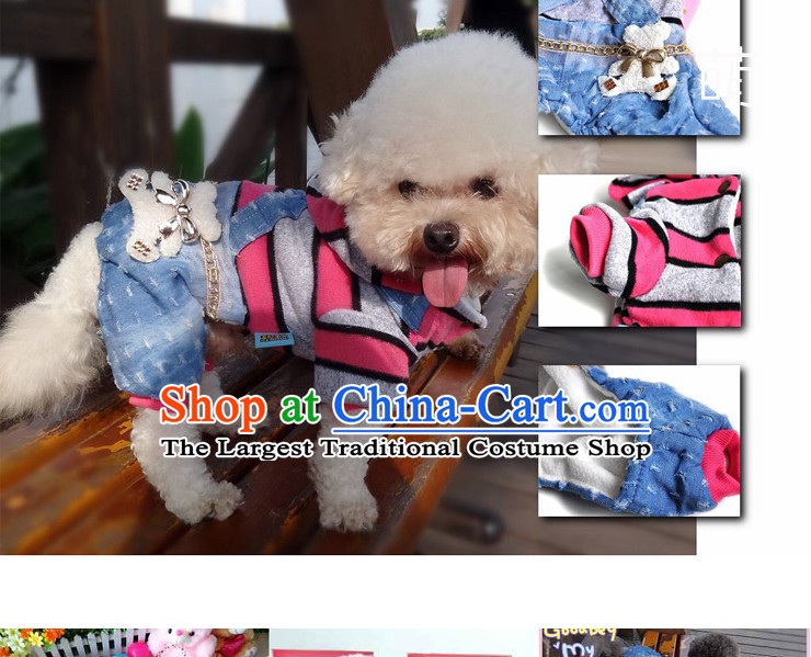 Chukchi pets dogs clothes clothes 2015 dog costume autumn and winter coat four legs with warm tedu sweater angel wings - Pink L 6-9 catty picture, prices, brand platters! The elections are supplied in the national character of distribution, so action, buy now enjoy more preferential! As soon as possible.