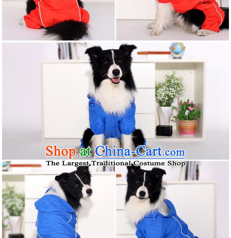 Pets allowed four feet, dog raincoat gross in Samoa large dog raincoat pets spring and summer clothing New Red 2 pictures, prices, brand platters! The elections are supplied in the national character of distribution, so action, buy now enjoy more preferential! As soon as possible.