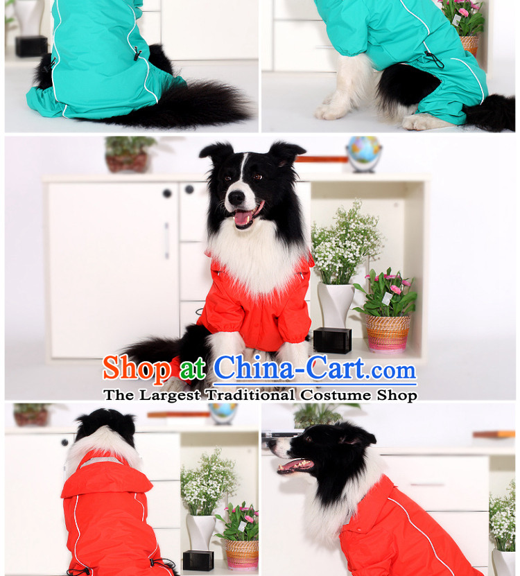 Pets allowed four feet, dog raincoat gross in Samoa large dog raincoat pets spring and summer clothing new deep blue 14 gauge picture, prices, brand platters! The elections are supplied in the national character of distribution, so action, buy now enjoy more preferential! As soon as possible.