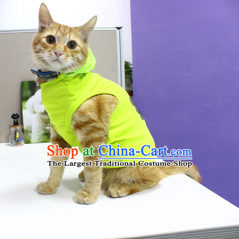 Cat clothes kitten alike home services cat David cats cat clothes three cats BRAINSTORMS L of alga, Lai Po shopping on the Internet has been pressed.