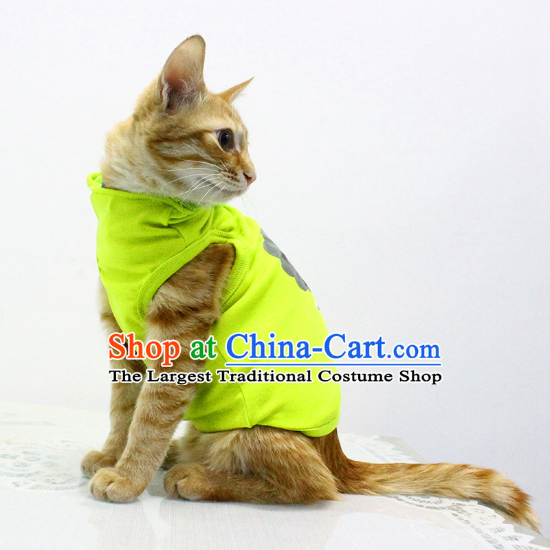 Cat clothes kitten alike home services cat David cats cat clothes three cats BRAINSTORMS L of alga, Lai Po shopping on the Internet has been pressed.