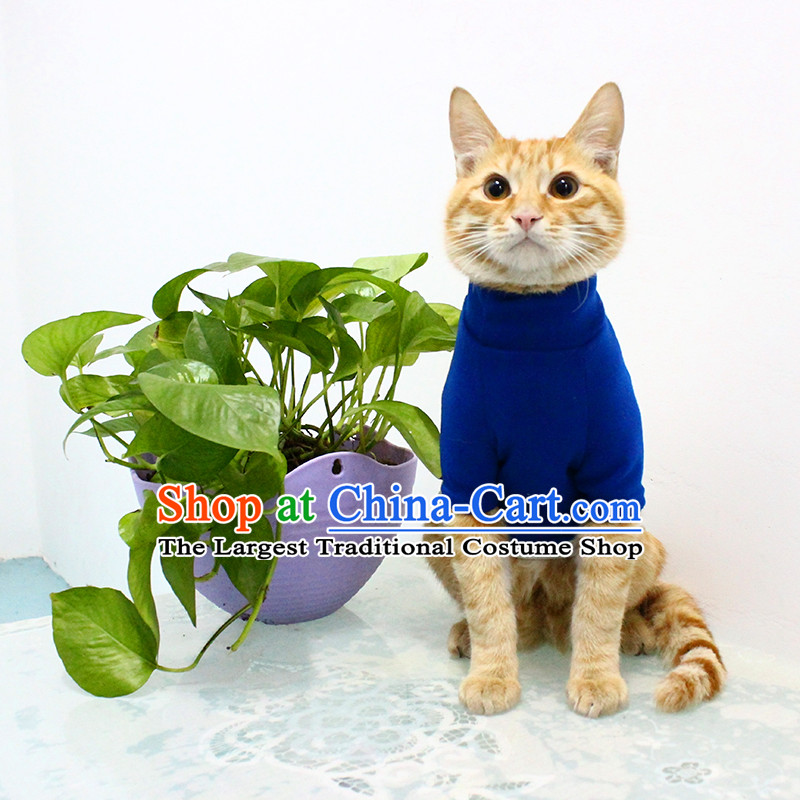 Cat clothes kitten alike home services cat David cats cat clothes childhood memories _ gray blue ball shabbily L