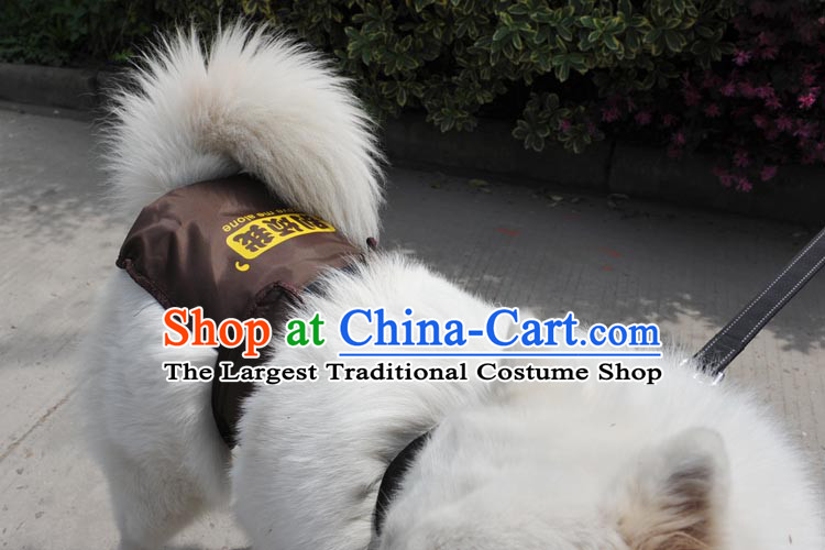 Huayuan hoopet pet dogs large trousers physiological dog menstruation trousers harassment gross health trousers and brown trousers physiological trousers security S picture, prices, brand platters! The elections are supplied in the national character of distribution, so action, buy now enjoy more preferential! As soon as possible.