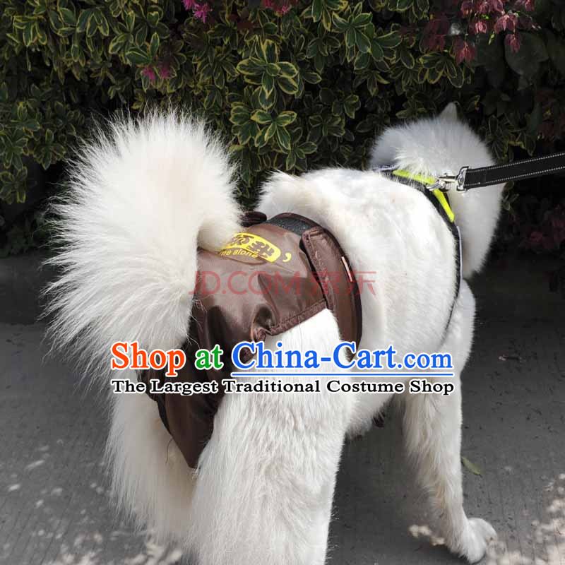 Huayuan hoopet pet dogs large trousers physiological dog menstruation trousers harassment gross health trousers and brown trousers physiological trousers security S, Huayuan claptrap (hoopet) , , , shopping on the Internet