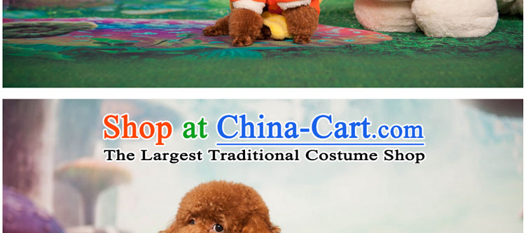 Hoopet dog autumn and winter clothing lovely Winni Cubs four feet on pet dogs tedu clothes clothes orange S picture, prices, brand platters! The elections are supplied in the national character of distribution, so action, buy now enjoy more preferential! As soon as possible.