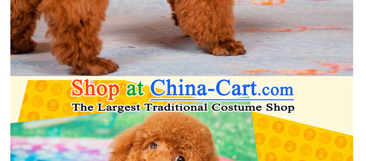 Hoopet dog autumn and winter clothing lovely Winni Cubs four feet on pet dogs tedu clothes clothes orange S picture, prices, brand platters! The elections are supplied in the national character of distribution, so action, buy now enjoy more preferential! As soon as possible.