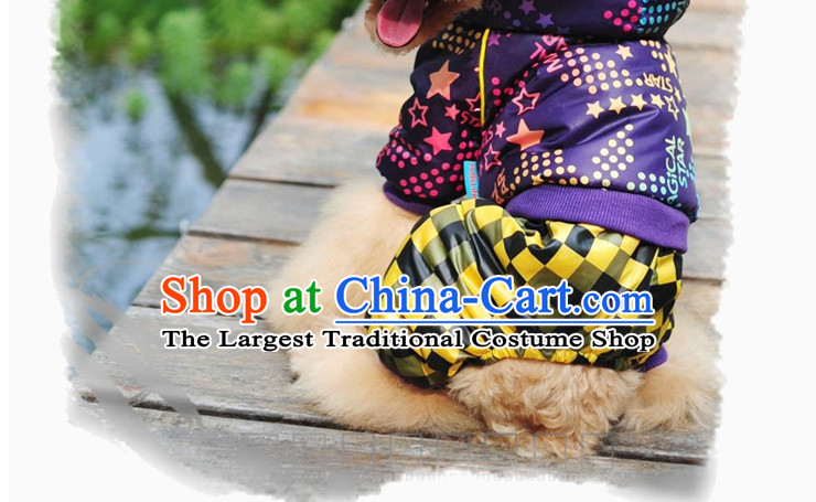 Chukchi magic stars Df-a2151/ pet dog costume for autumn and winter clothing warm thick cotton clothing dog pictures, price, 10# brand platters! The elections are supplied in the national character of distribution, so action, buy now enjoy more preferential! As soon as possible.