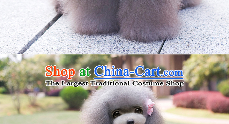 Pet dog spring and summer clothing dog clothes Lolita lamings skirt tedu than Xiong VIP Hiromi dress Blue M of pictures, prices, brand platters! The elections are supplied in the national character of distribution, so action, buy now enjoy more preferential! As soon as possible.