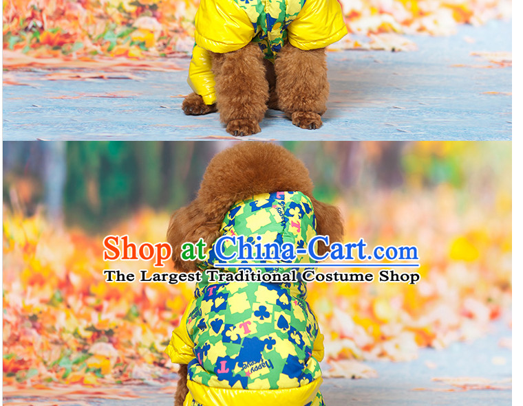 Hua Yuan hoopet dog clothes-footed pets in the autumn and winter clothing tedu cotton clothing dog vip thick winter ski jackets S picture poker, prices, brand platters! The elections are supplied in the national character of distribution, so action, buy now enjoy more preferential! As soon as possible.