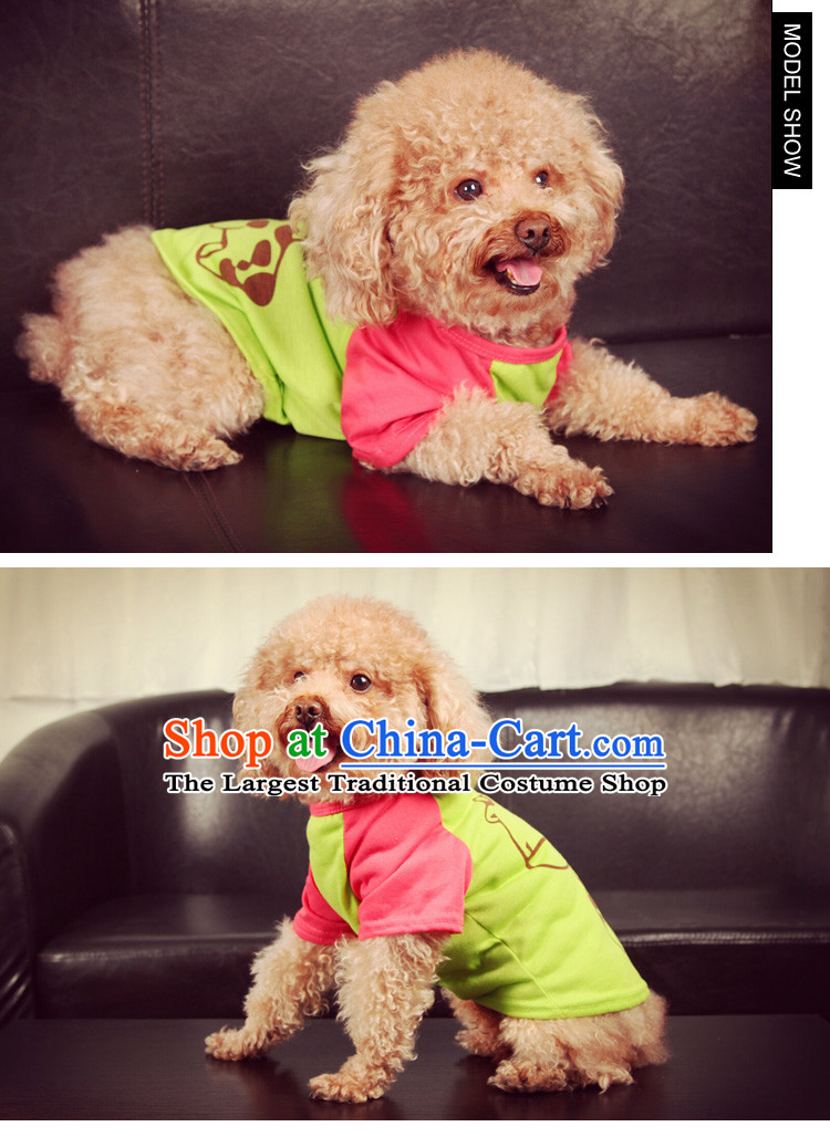 Dog clothes during the spring and autumn t-shirts vest tedu than small pets Xiong dog clothes gray imp l picture, prices, brand platters! The elections are supplied in the national character of distribution, so action, buy now enjoy more preferential! As soon as possible.