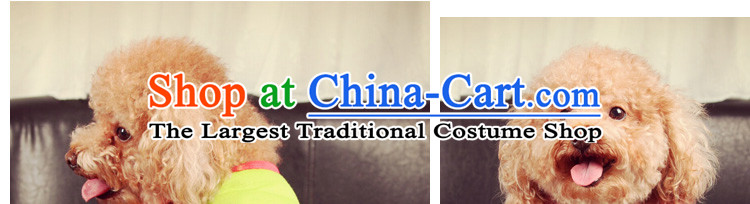 Dog clothes during the spring and autumn t-shirts vest tedu than small pets Xiong dog clothes gray imp l picture, prices, brand platters! The elections are supplied in the national character of distribution, so action, buy now enjoy more preferential! As soon as possible.