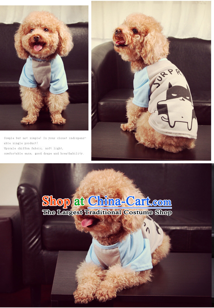 Dog clothes during the spring and autumn t-shirts vest tedu than small pets Xiong dog clothes gray imp l picture, prices, brand platters! The elections are supplied in the national character of distribution, so action, buy now enjoy more preferential! As soon as possible.