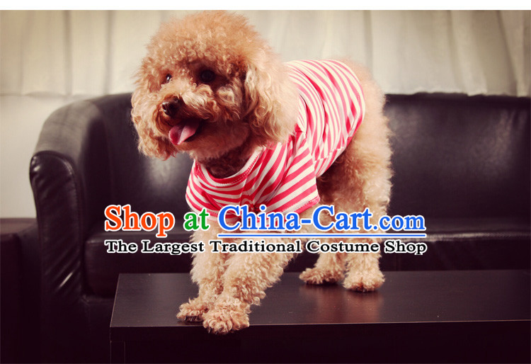 Dog clothes during the spring and autumn t-shirts vest tedu than small pets Xiong dog clothes gray imp l picture, prices, brand platters! The elections are supplied in the national character of distribution, so action, buy now enjoy more preferential! As soon as possible.