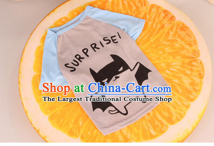 Dog clothes during the spring and autumn t-shirts vest tedu than small pets Xiong dog clothes gray imp l picture, prices, brand platters! The elections are supplied in the national character of distribution, so action, buy now enjoy more preferential! As soon as possible.