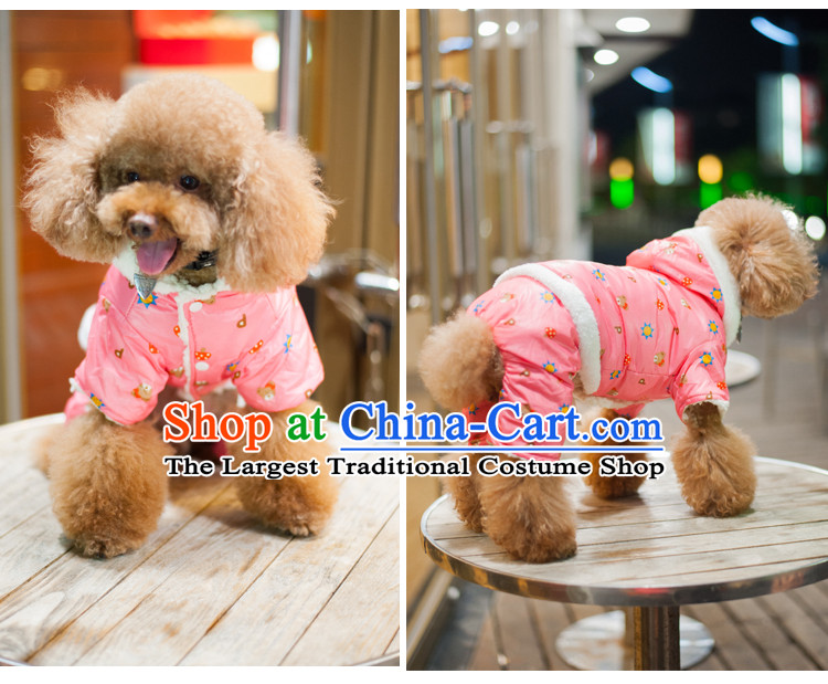 Pets dress autumn and winter clothing new dog tedu Hiromi Xiong ãþòâ dog than Feather & Red 10 pictures, prices, brand platters! The elections are supplied in the national character of distribution, so action, buy now enjoy more preferential! As soon as possible.