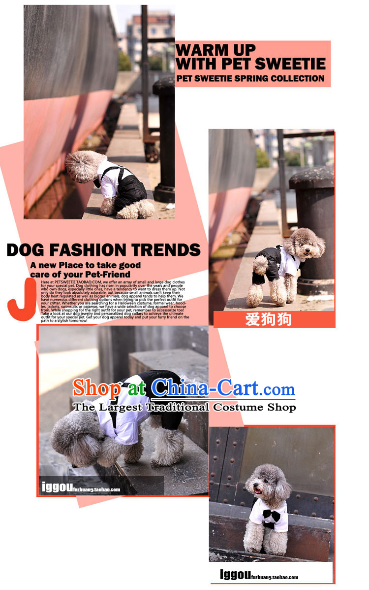 Pets Allowed gentleman suits tedu pet dog spring loaded than Xiong VIP CHIHUAHUAS Hiromi clothes four legs L picture, prices, brand platters! The elections are supplied in the national character of distribution, so action, buy now enjoy more preferential! As soon as possible.