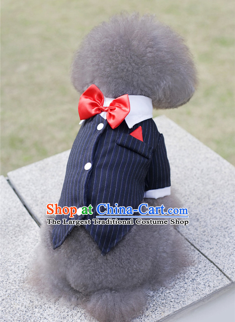 Pets Allowed dovetail small wedding dress suit suit tedu VIP dog clothes with two-pin shirt M pictures, prices, brand platters! The elections are supplied in the national character of distribution, so action, buy now enjoy more preferential! As soon as possible.