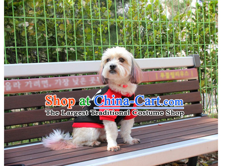 Dog clothes tedu dog clothes dog T-shirt dog sweater pet clothes than Xiong Hiromi blue beard XL Photo, prices, brand platters! The elections are supplied in the national character of distribution, so action, buy now enjoy more preferential! As soon as possible.