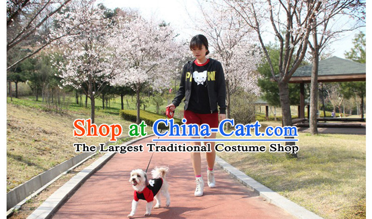 Dog clothes tedu dog clothes dog T-shirt dog sweater pet clothes than Xiong Hiromi blue beard XL Photo, prices, brand platters! The elections are supplied in the national character of distribution, so action, buy now enjoy more preferential! As soon as possible.