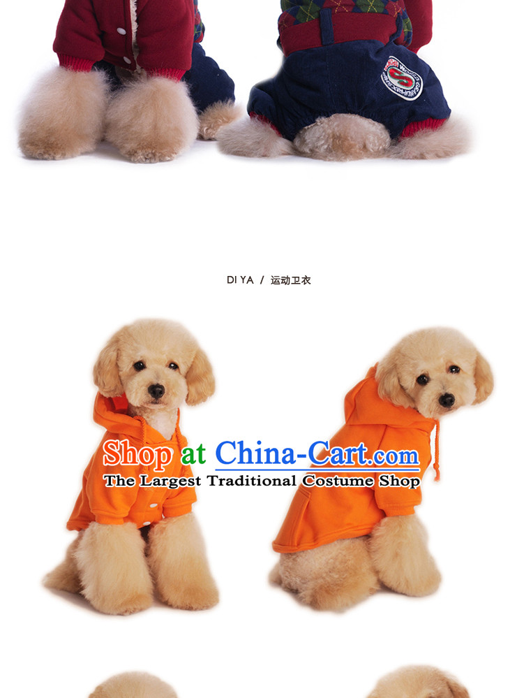 The national electoral package EMAIL 】 pet dog clothes tedu Fall/Winter Collections of Trinidad and Tobago dog law Doo vip dog Jimmy dolls Hiromi than bear the puppies sweater Gray L chest 44cm back long neck Wai 28cm) 30cm photo, prices, brand platters! The elections are supplied in the national character of distribution, so action, buy now enjoy more preferential! As soon as possible.