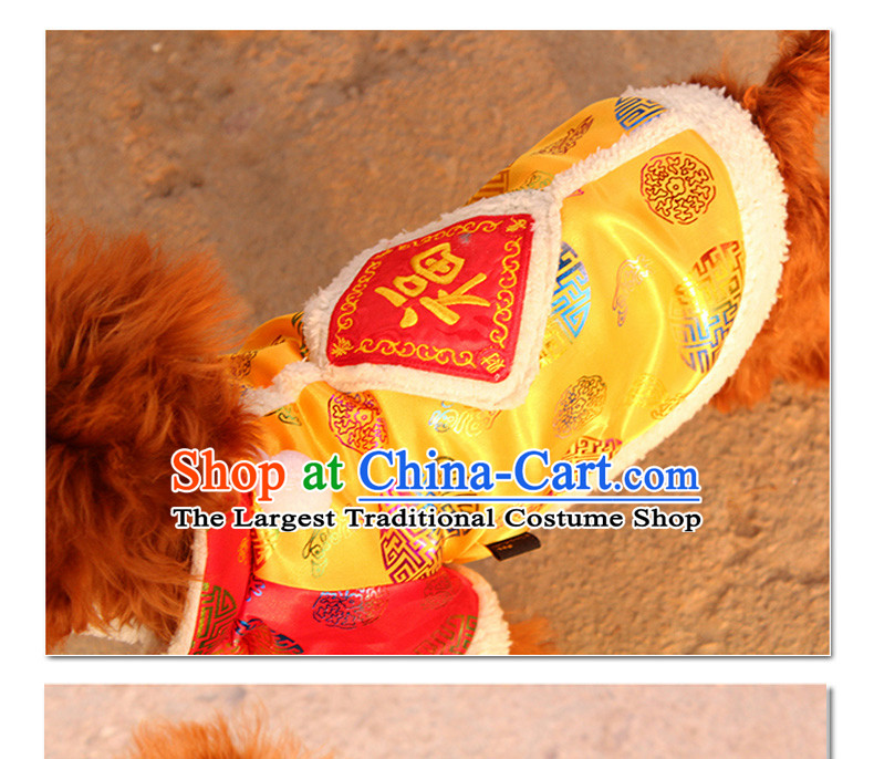 Tang Dynasty Chinese New Year of the dog field festive ãþòâ tedu Xiong VIP autumn and winter than cotton clothes pet clothing gold festive M picture, prices, brand platters! The elections are supplied in the national character of distribution, so action, buy now enjoy more preferential! As soon as possible.