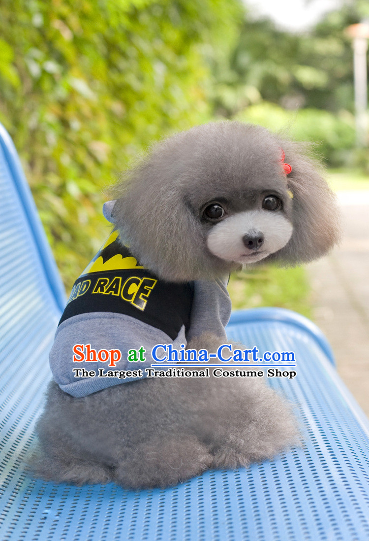 Some raise their heads in fall and winter wonderland of Pets Clothes Campaign pet clothes sweater small dog clothes tedu VIP than Xiong puppies Hiromi thick Fall/Winter Collections of the Superman blue S picture, prices, brand platters! The elections are supplied in the national character of distribution, so action, buy now enjoy more preferential! As soon as possible.