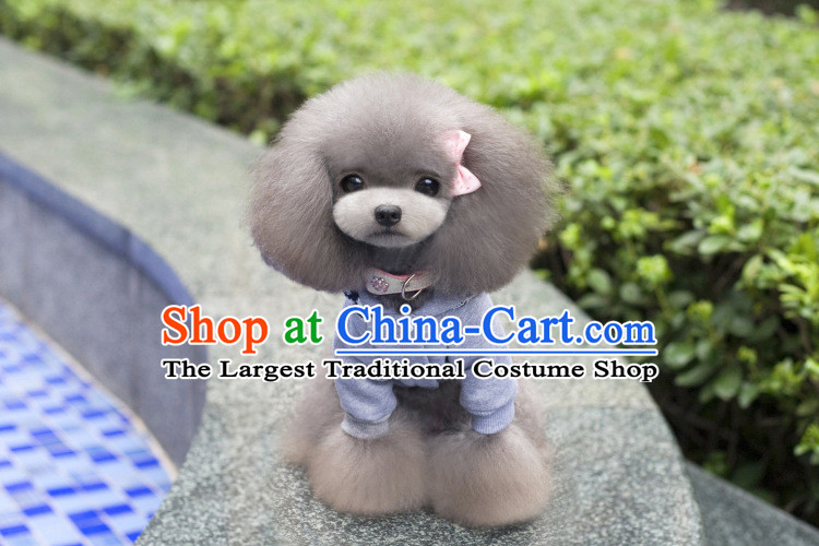 Some raise their heads in fall and winter wonderland of Pets Clothes Campaign pet clothes sweater small dog clothes tedu VIP than Xiong puppies Hiromi thick Fall/Winter Collections of the Superman blue S picture, prices, brand platters! The elections are supplied in the national character of distribution, so action, buy now enjoy more preferential! As soon as possible.