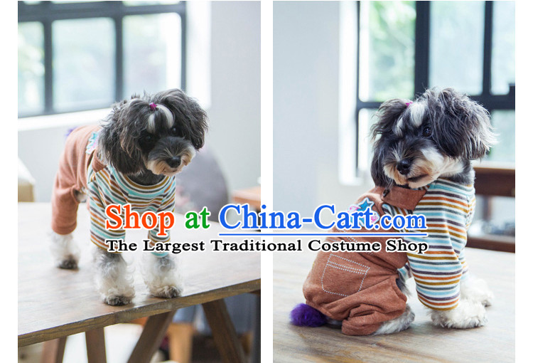 Pet dog costume autumn and winter clothing it leave two jumpsuits stripes tedu than Xiong VIP Hiromi short jacket, brown JUMPSUITS XS, pictures, prices, brand platters! The elections are supplied in the national character of distribution, so action, buy now enjoy more preferential! As soon as possible.