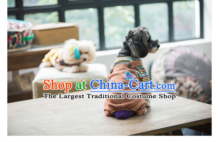 Pet dog costume autumn and winter clothing it leave two jumpsuits stripes tedu than Xiong VIP Hiromi short jacket, brown JUMPSUITS XS, pictures, prices, brand platters! The elections are supplied in the national character of distribution, so action, buy now enjoy more preferential! As soon as possible.