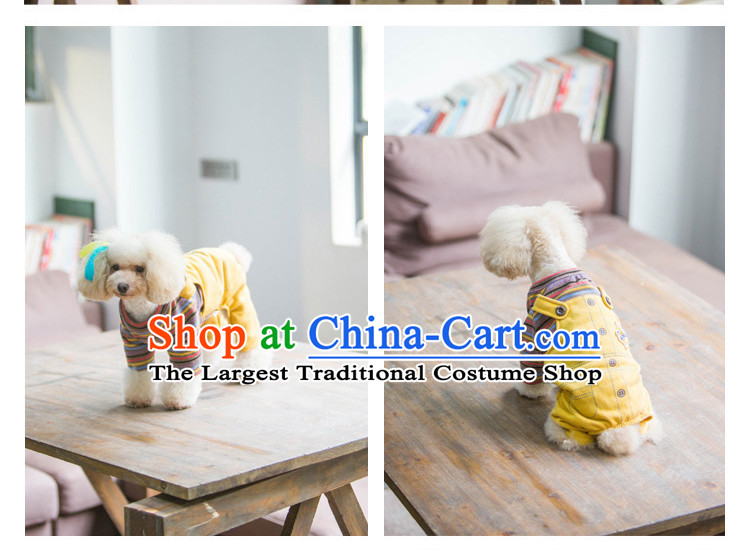 Pet dog costume autumn and winter clothing it leave two jumpsuits stripes tedu than Xiong VIP Hiromi short jacket, brown JUMPSUITS XS, pictures, prices, brand platters! The elections are supplied in the national character of distribution, so action, buy now enjoy more preferential! As soon as possible.